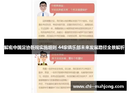 解密中国足协新规实施细则 44家俱乐部未来发展路径全景解析
