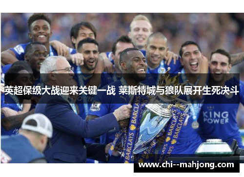 英超保级大战迎来关键一战 莱斯特城与狼队展开生死决斗 英超保级大战迎来关键一战 莱斯特城与狼队展开生死决斗